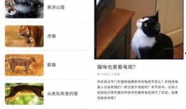 宠物黑料爆料视频下载网站,揭秘热门下载网站背后的真相